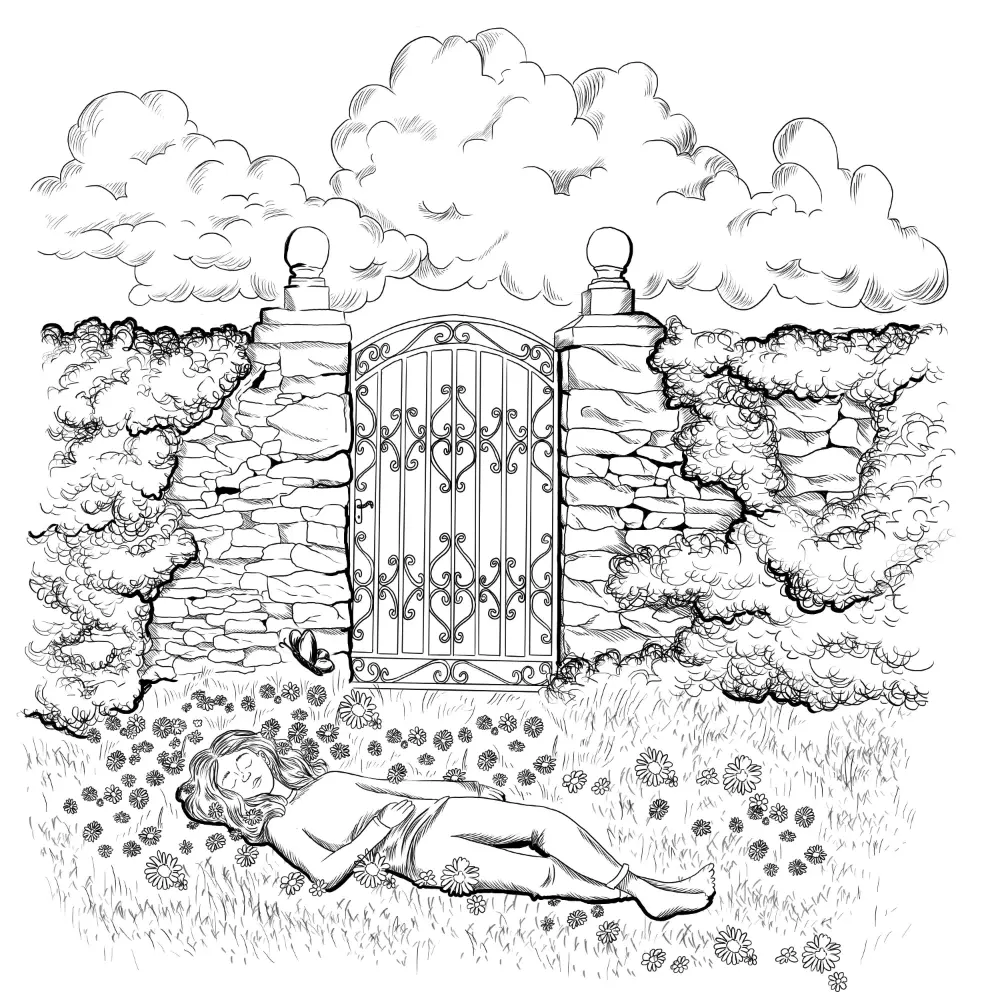 garden illustration