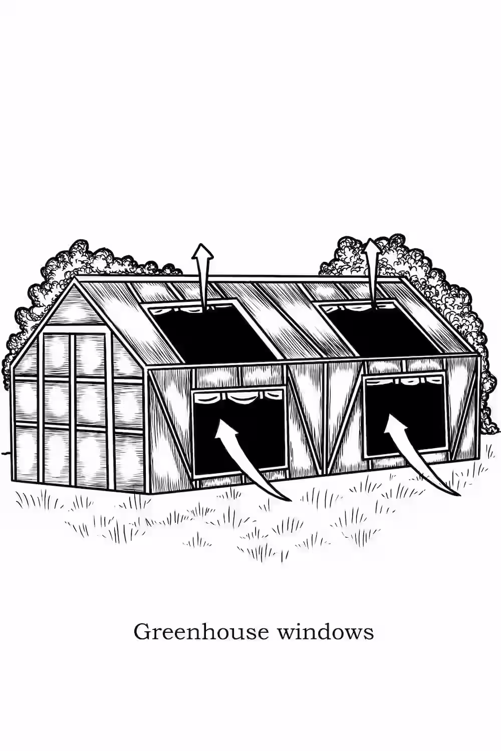 Greenhouse ventilation diagram