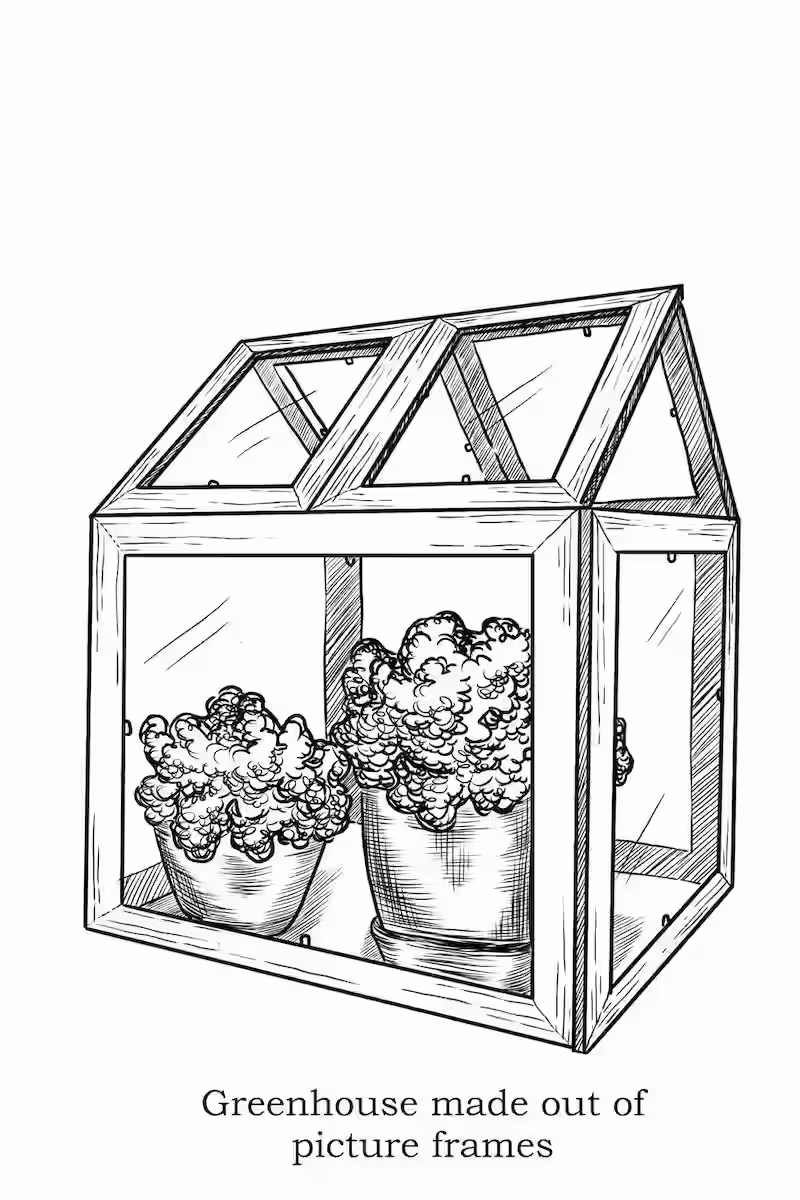 Indoor greenhouse with plants