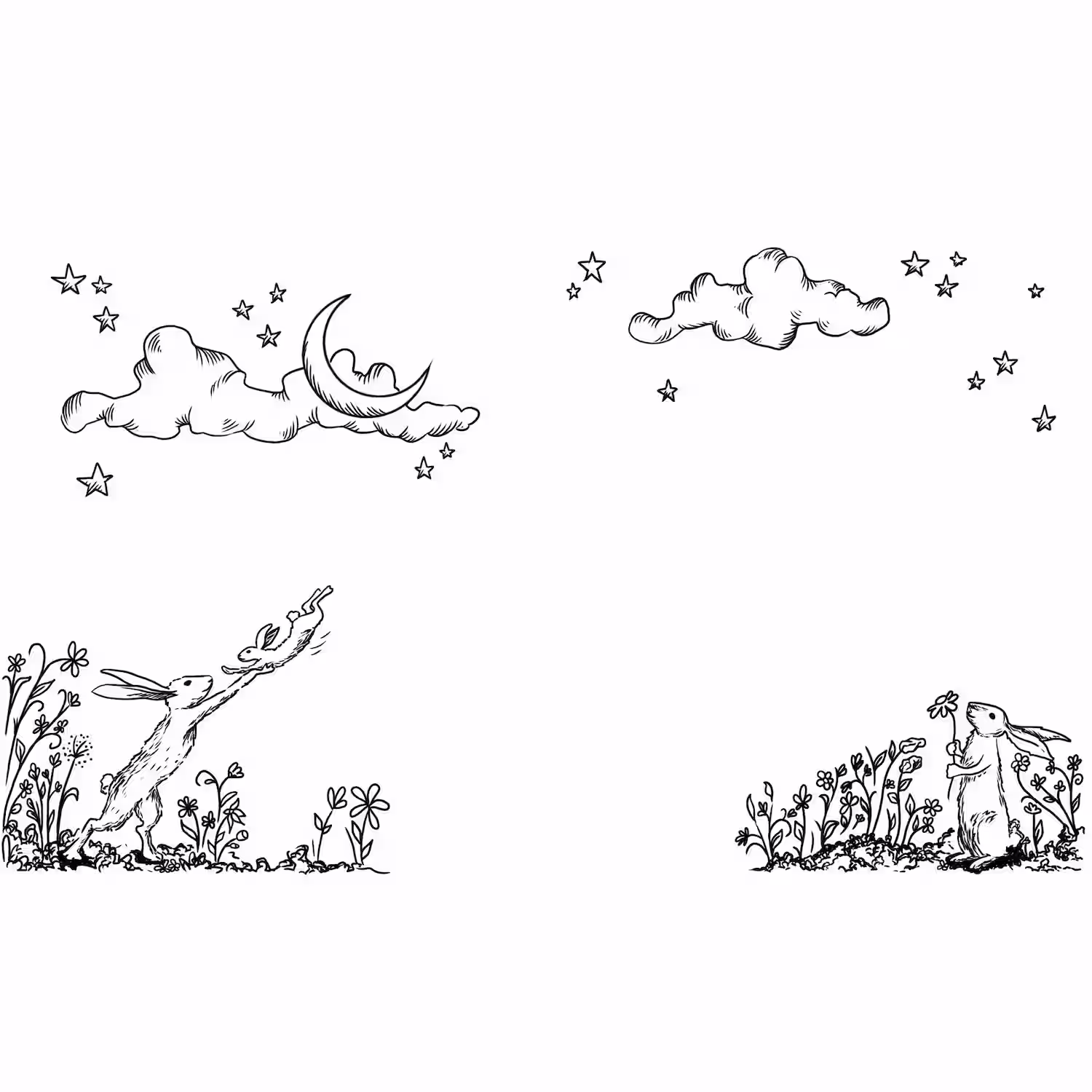 Rabbits under the night sky