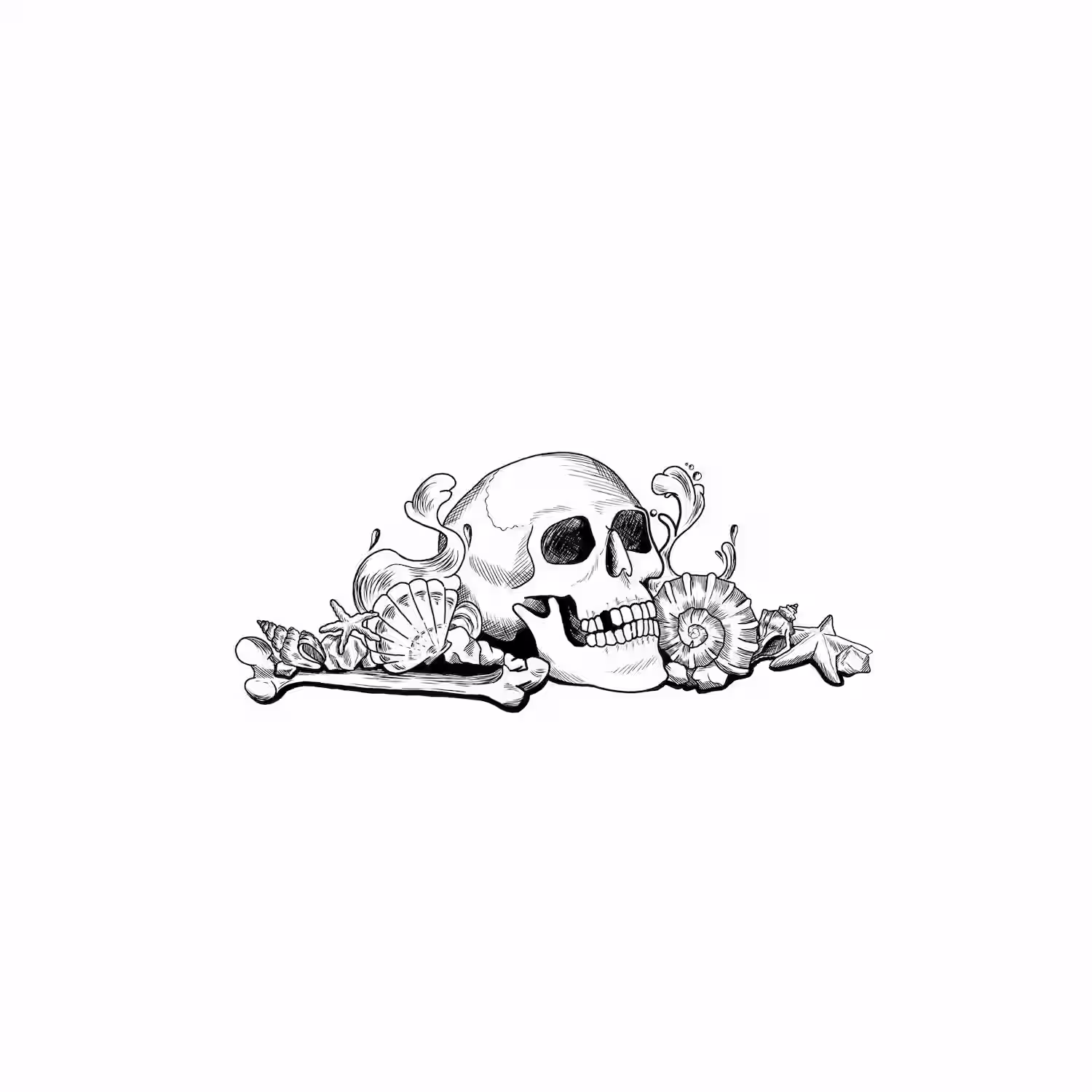 Skull surrounded by seashells