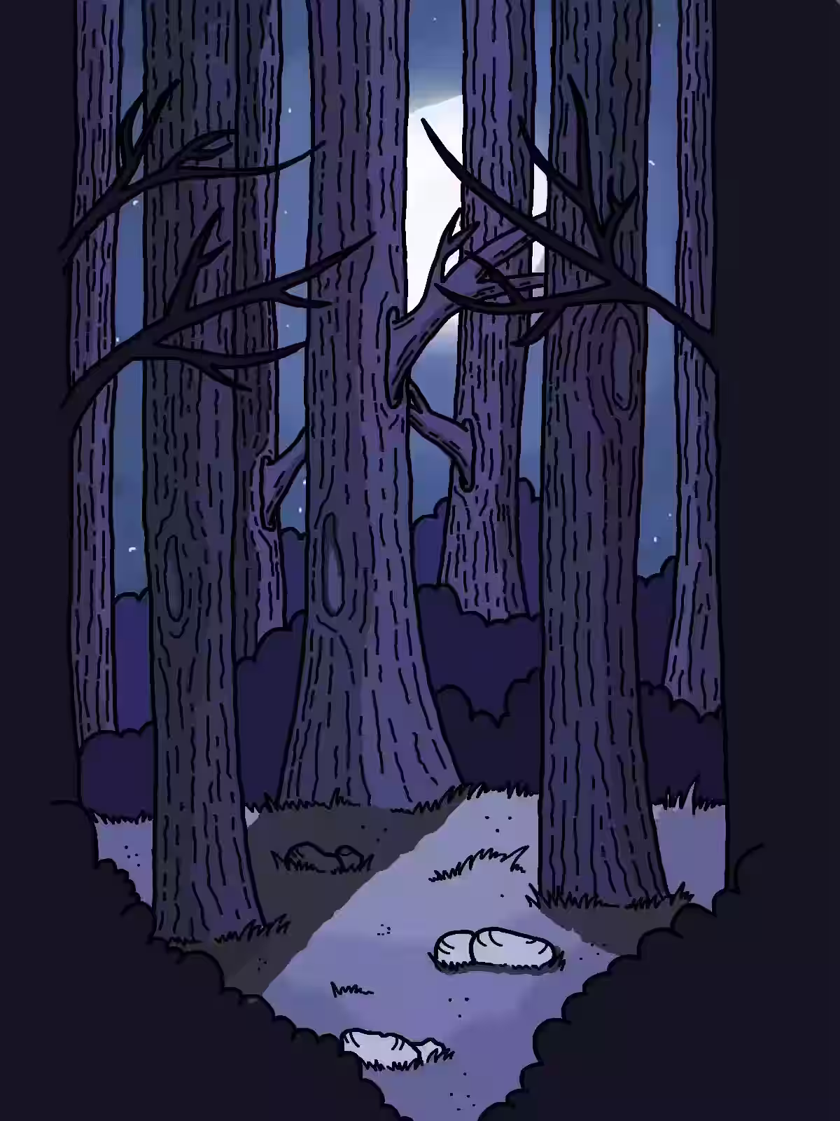 Dark forest beneath a moonlit sky