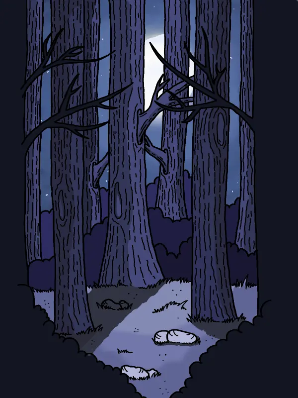 dark woods illustration