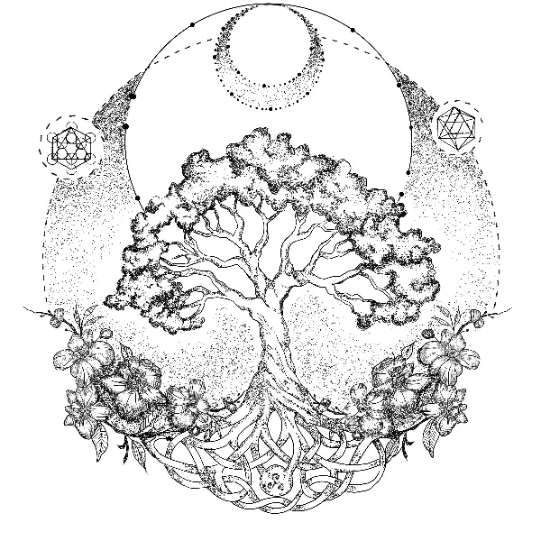 tree of life illustration